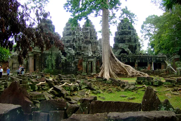 Korzenie drzew w murach Ta Prohm