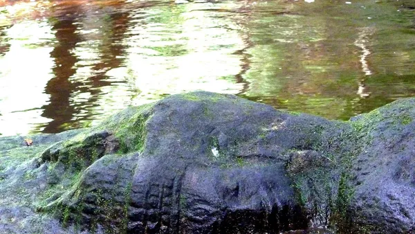 Wykuta w skale głowa Brahmy w korycie rzeki w Kbal Spean, porośnięta mchem
