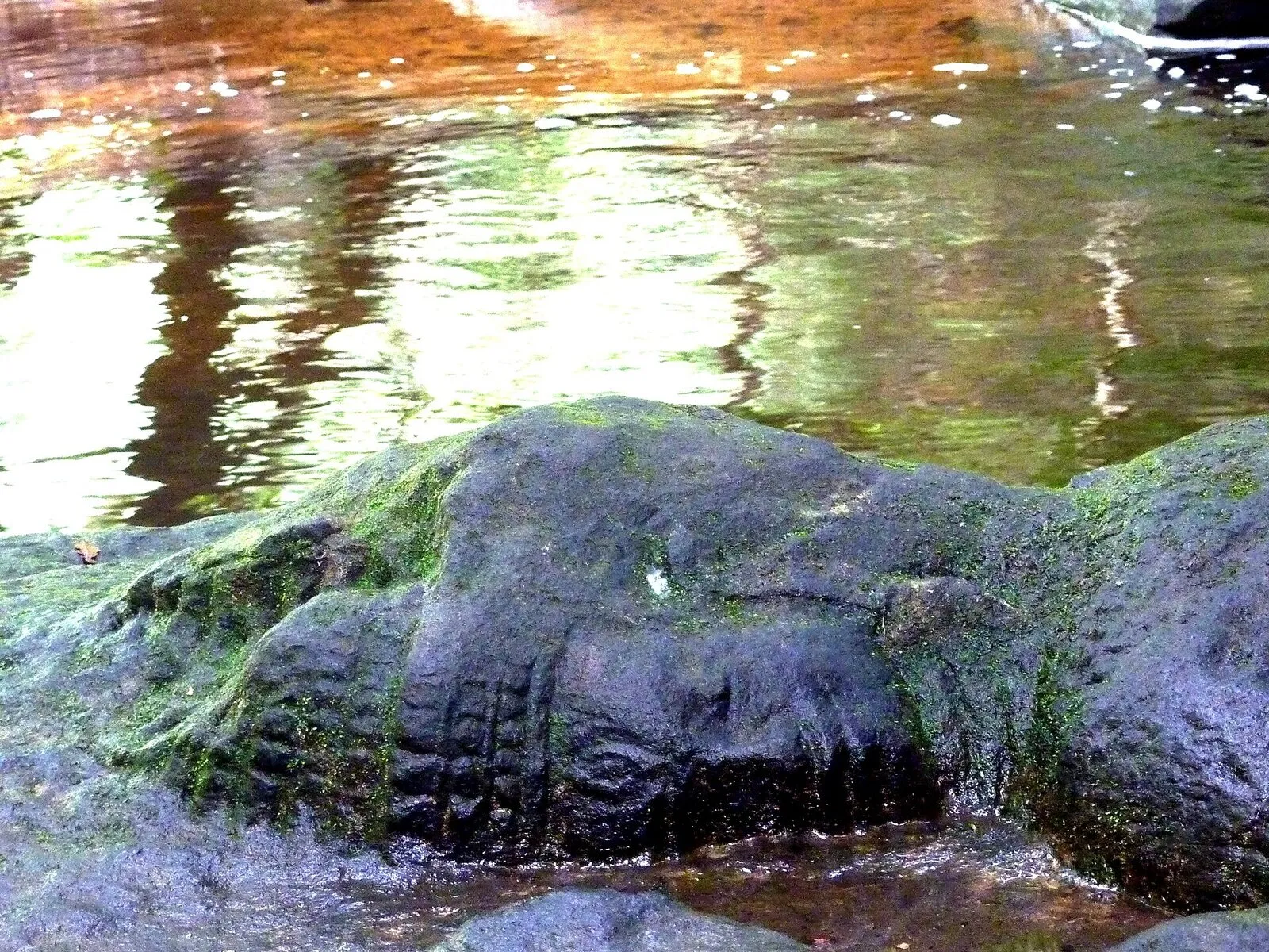 Wykuta w skale głowa Brahmy w korycie rzeki w Kbal Spean, porośnięta mchem