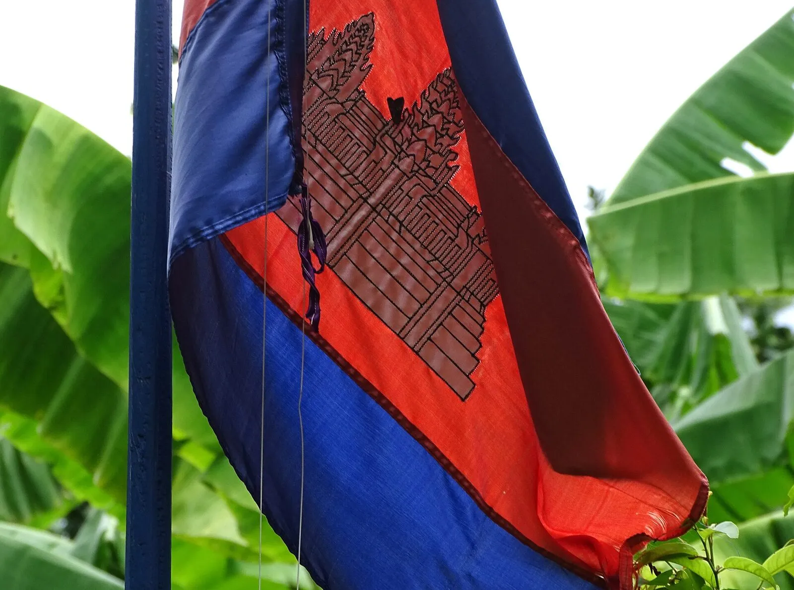 Flaga Kambodży z sylwetką Angkor Wat na maszcie wśród liści bananowca